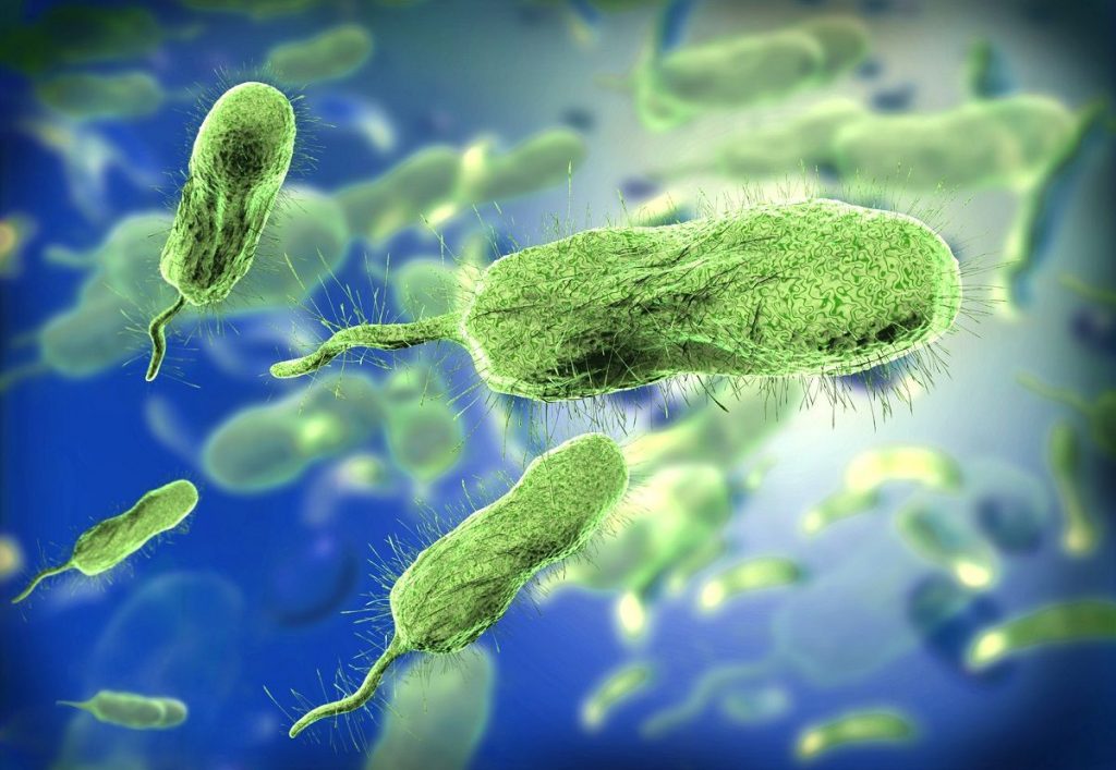 antibioticos