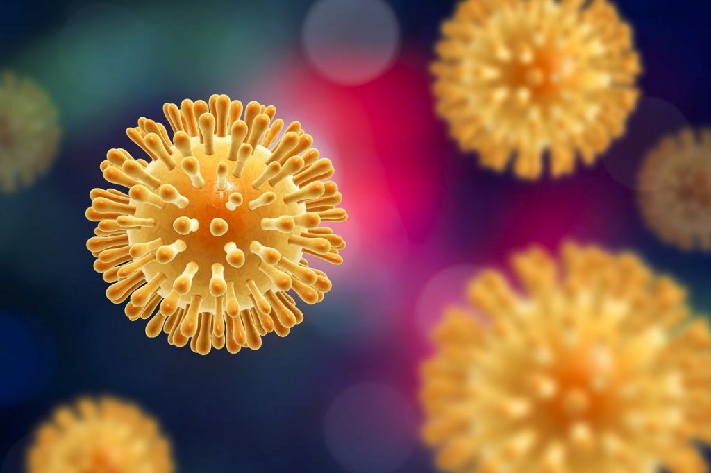 coronavirus