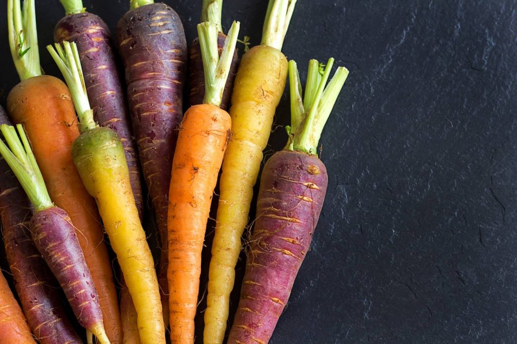 longevidad nutricion