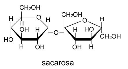 sacarosa